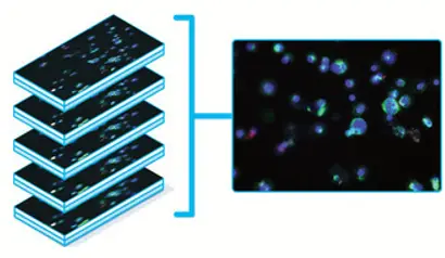 High throughput